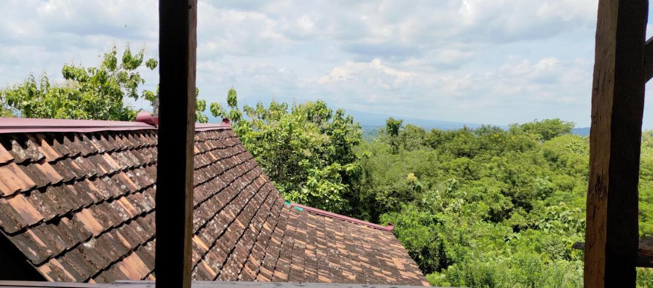 Omah Singo Stay & Resto Yogyakarta Bantul Exterior photo